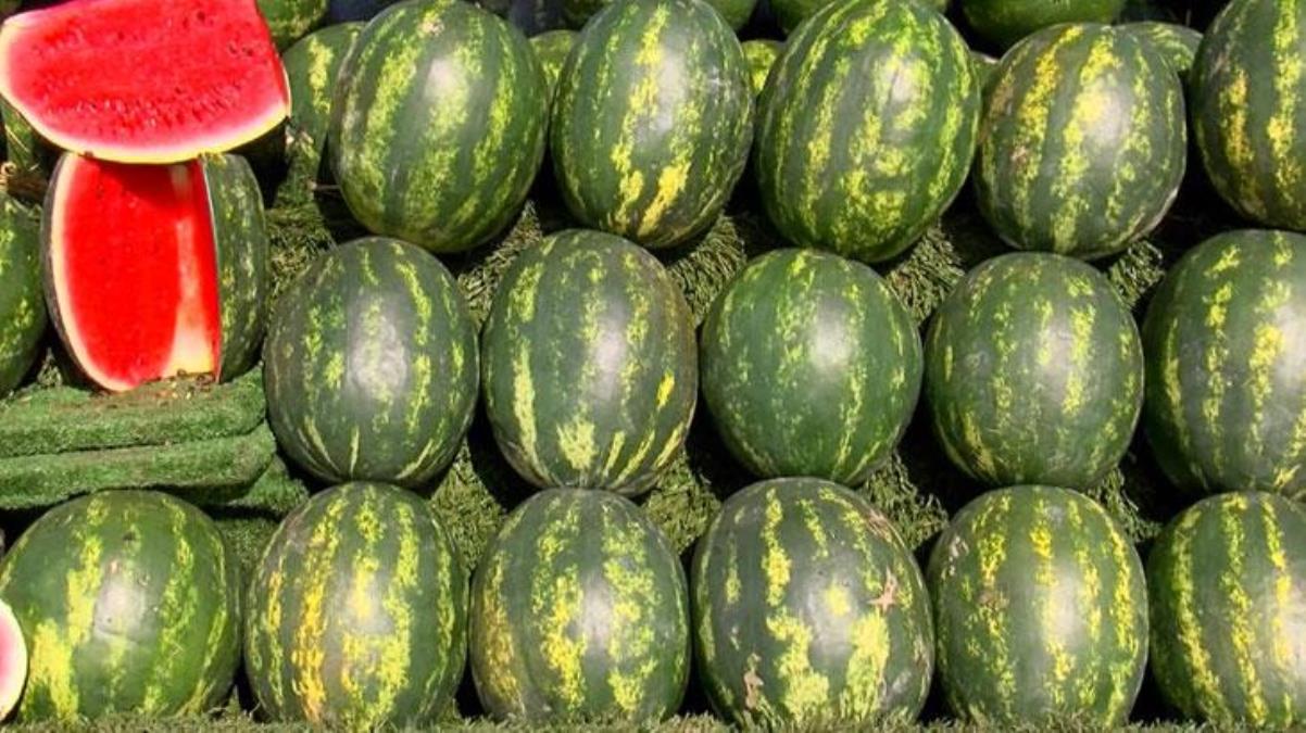 Bir dilim karpuzun fiyatı dudak uçuklattı