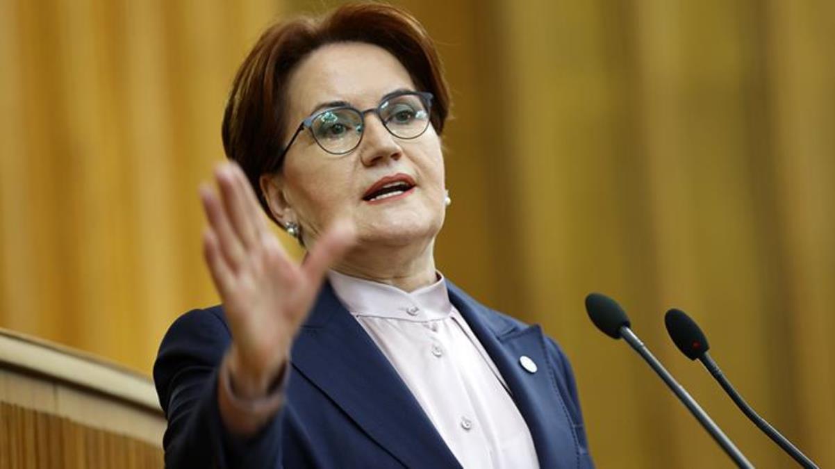 Meral Akşener'den Sinan Oğan yorumu