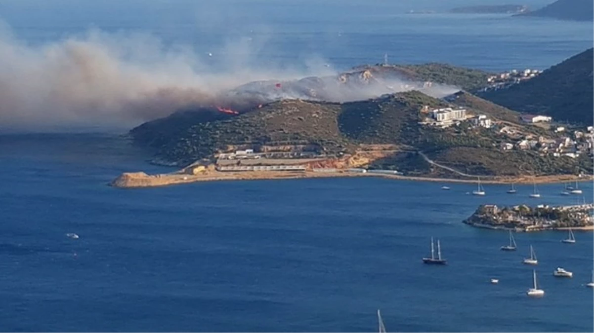 Muğla'nın Datça ilçesinde ormanlık alanda yangın