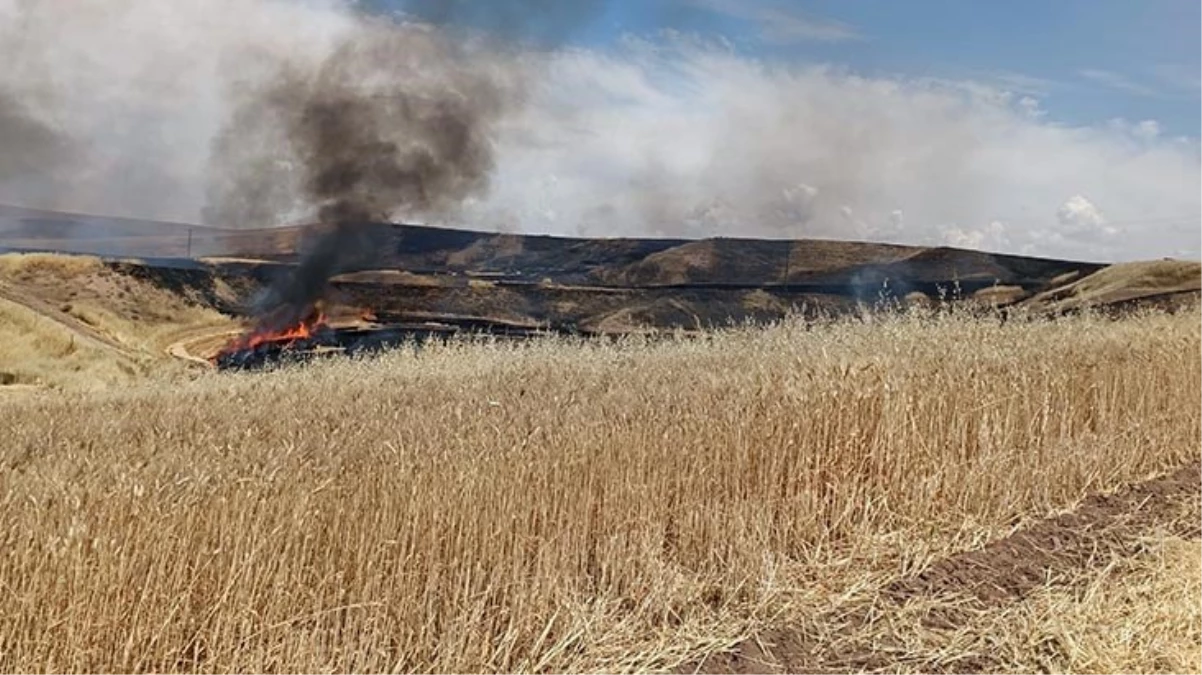 Diyarbakır'da arazi kavgası: 8 ölü, 3 yaralı