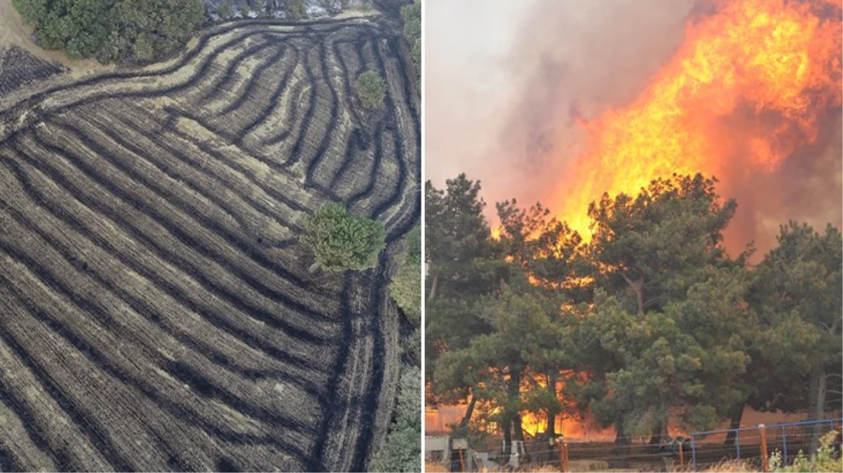 Çanakkale'de bölgenin son hali içler acısı