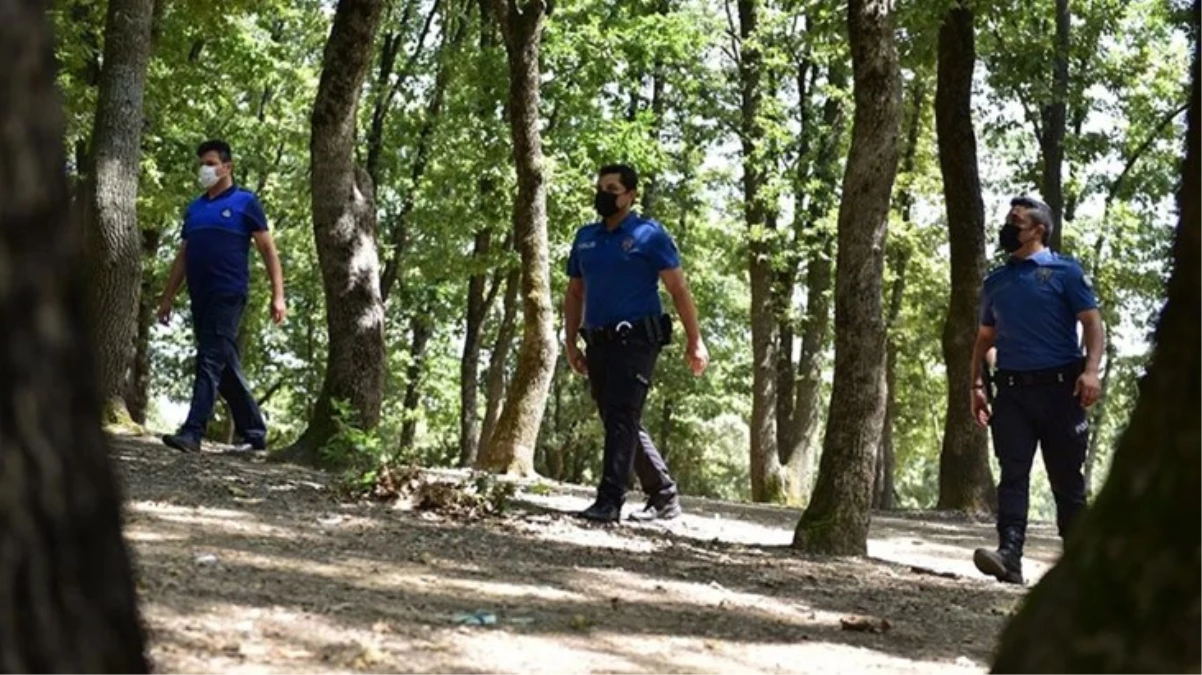 İstanbul'da ormanlık alanlara girişler yasaklandı