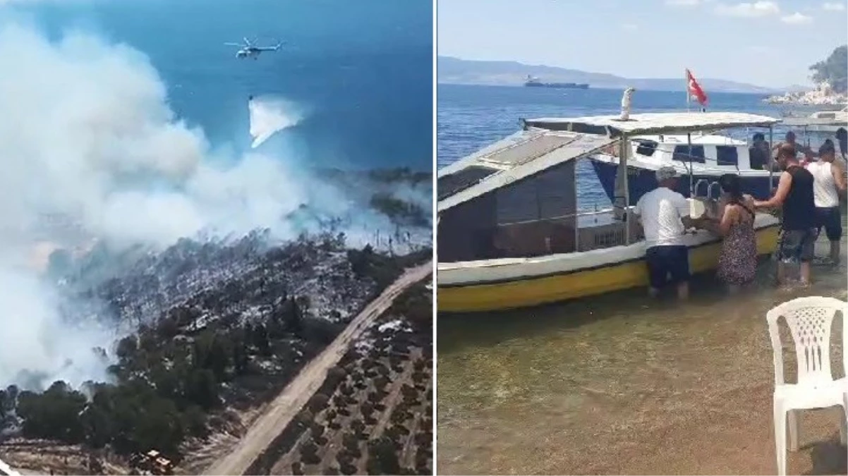 İzmir'de orman yangını! Alevler 2 eve sıçradı