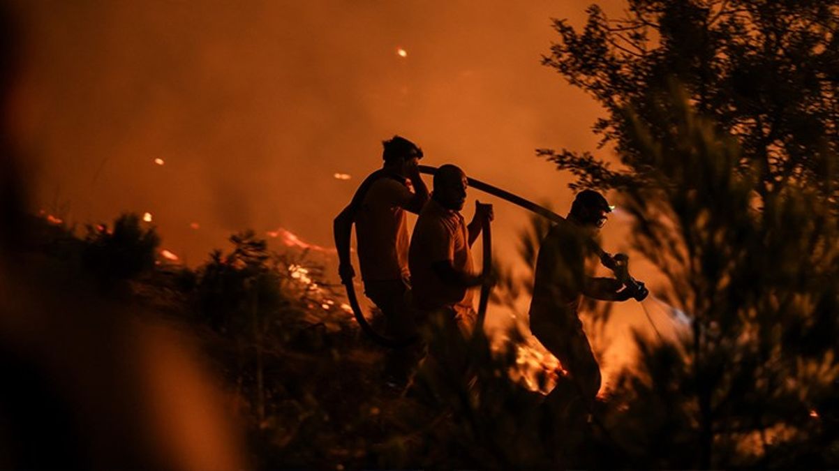 AFAD'dan Çanakkale'deki orman yangınına ilişkin açıklama!
