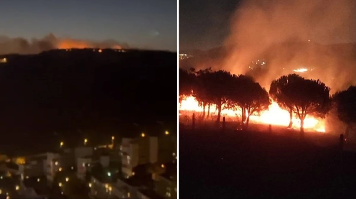 Maltepe'de orman yangını kontrol altına alındı