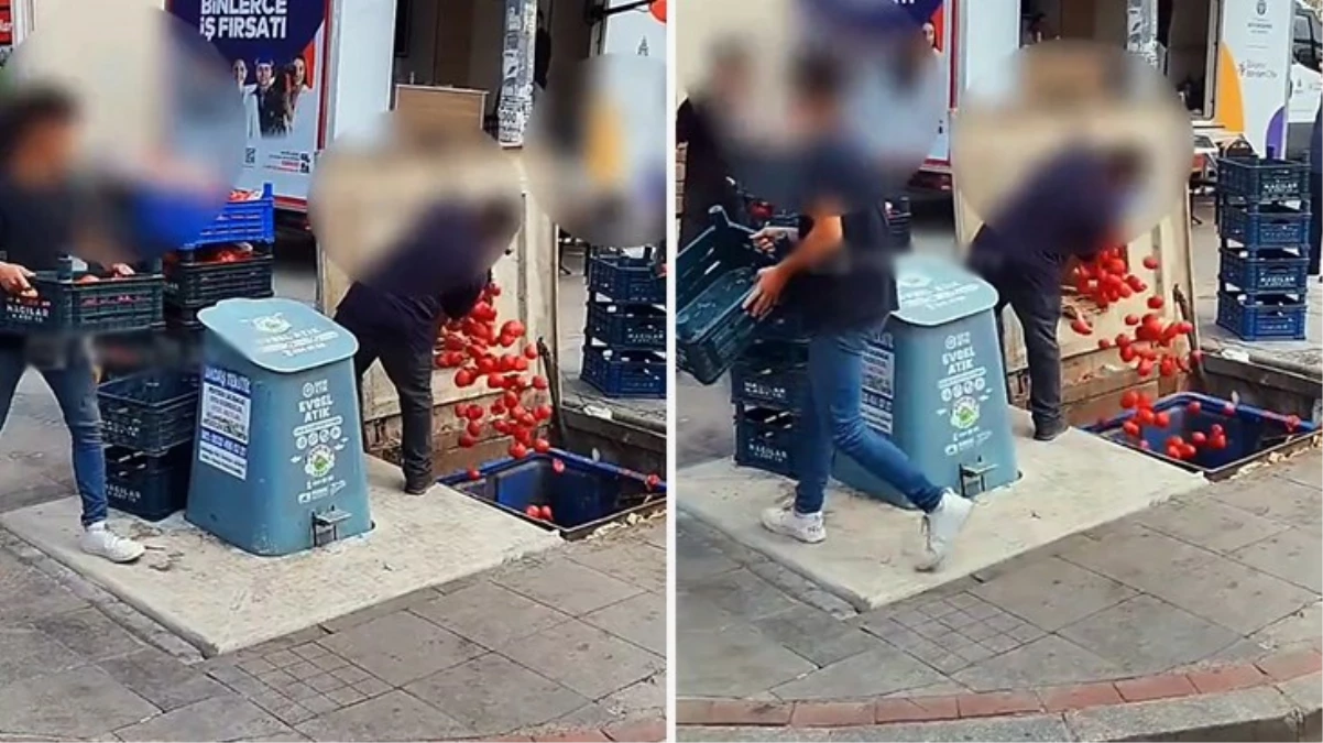 Pendik'te bir markette kasalar dolusu domates çöpe atıldı