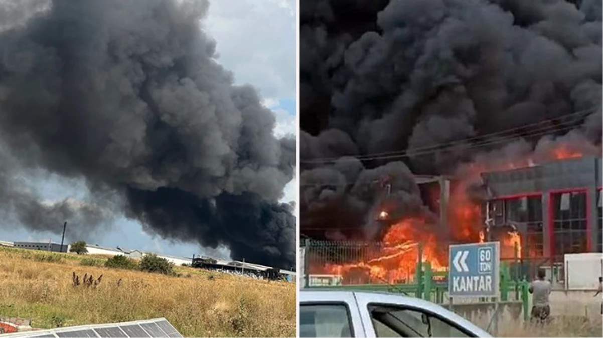 Tekirdağ'da kimya fabrikasında yangın!