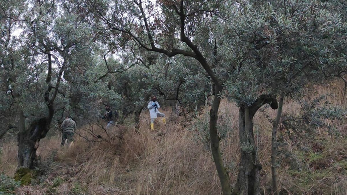 Müge Anlı'da aranan Nevrigül Alan ölü bulundu