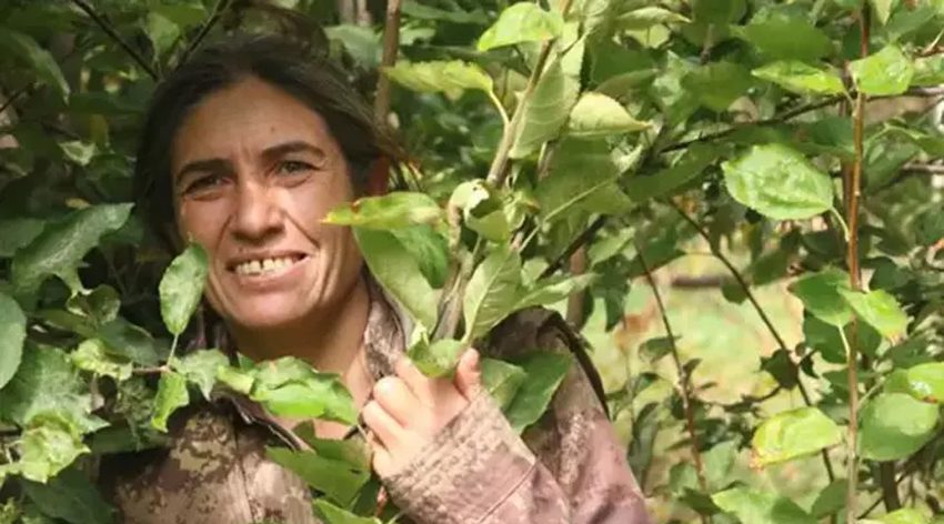 MİT'ten nokta operasyon!