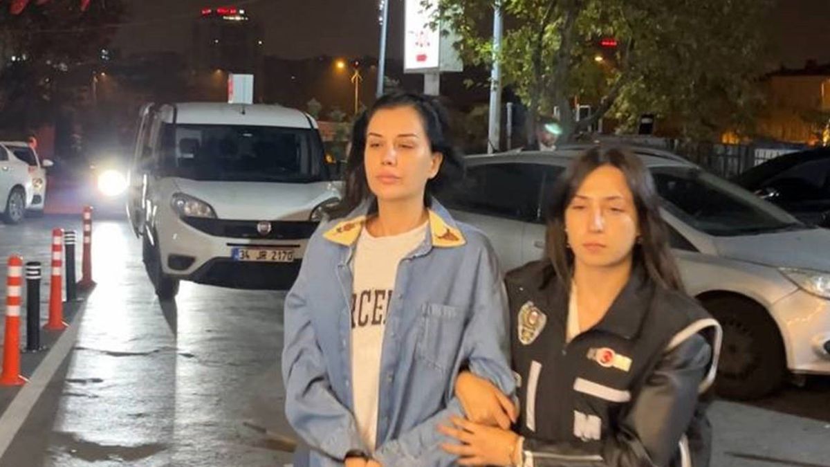 Dilan Polat gözaltındayken paylaşım yapan kişi kim?