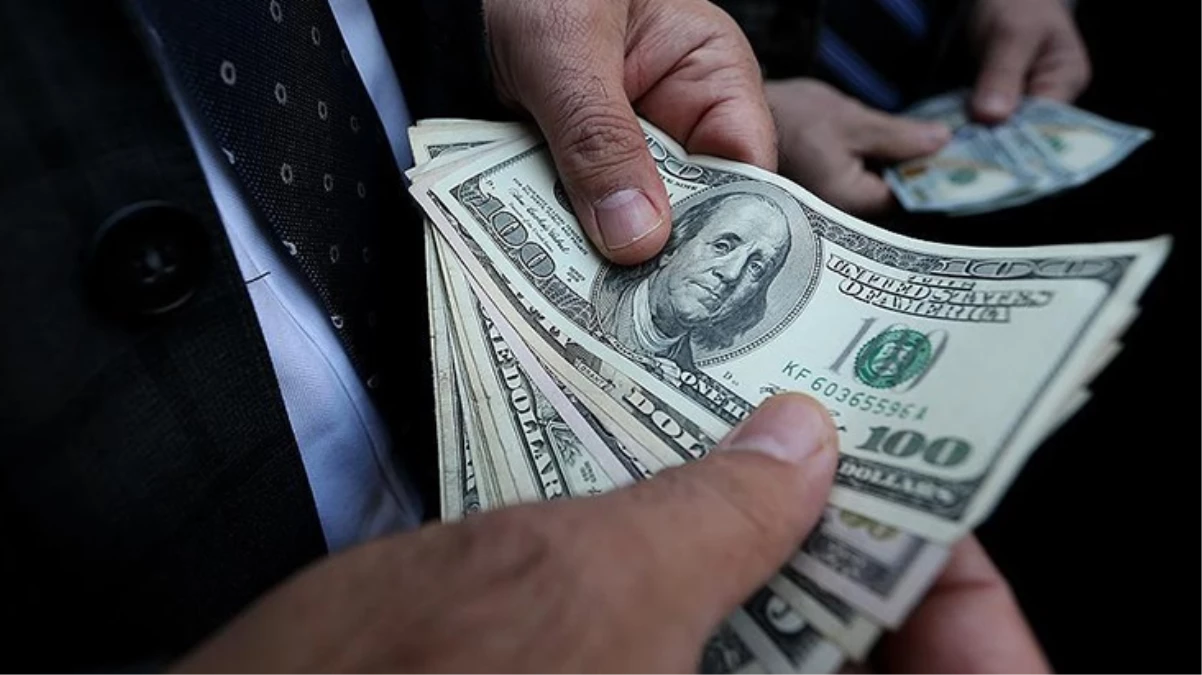 Dolar 24 TL'ye mi düştü? Google'ın hatası paniğe yol açtı