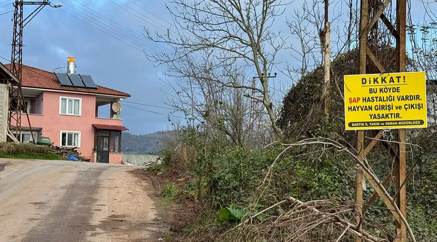 Bartın'da 12 köye şap karantinası