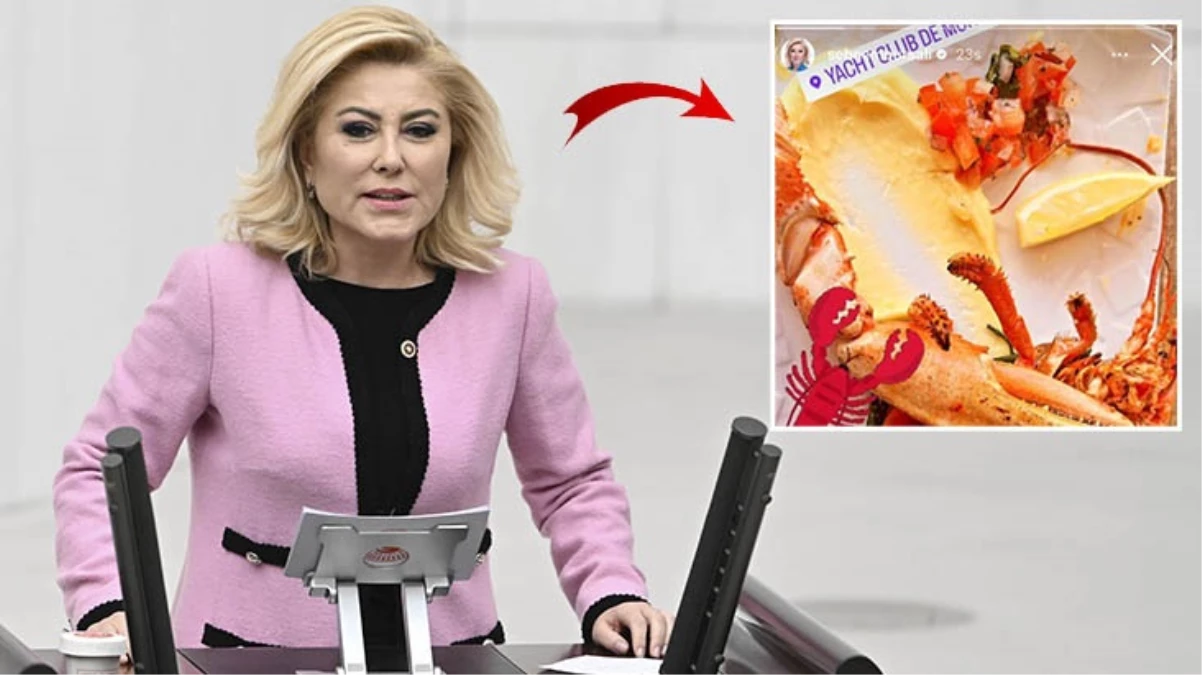 Şebnem Bursalı'dan ıstakoz paylaşımına ilginç savunma