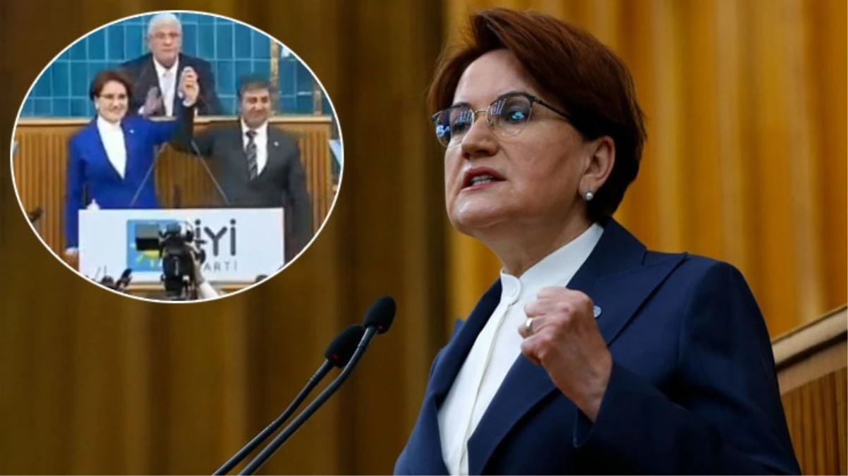 İYİ Parti'de Genel Başkan Yardımcısı Birol Aydemir de istifa etti