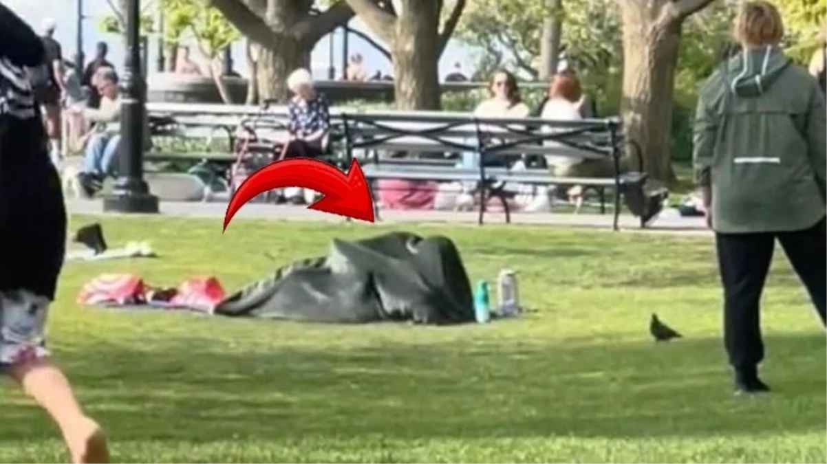 Parkta battaniye altında ilişkiye girdiler