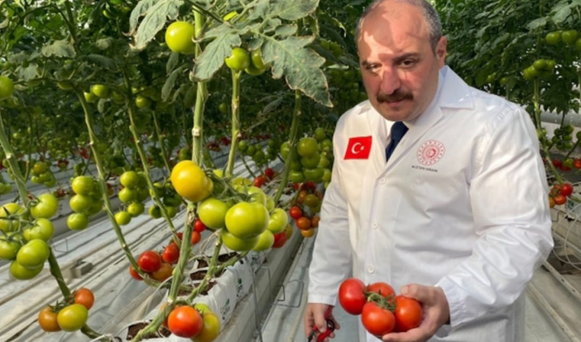Erzurum'a Antalya iklim şartlarına göre sera!