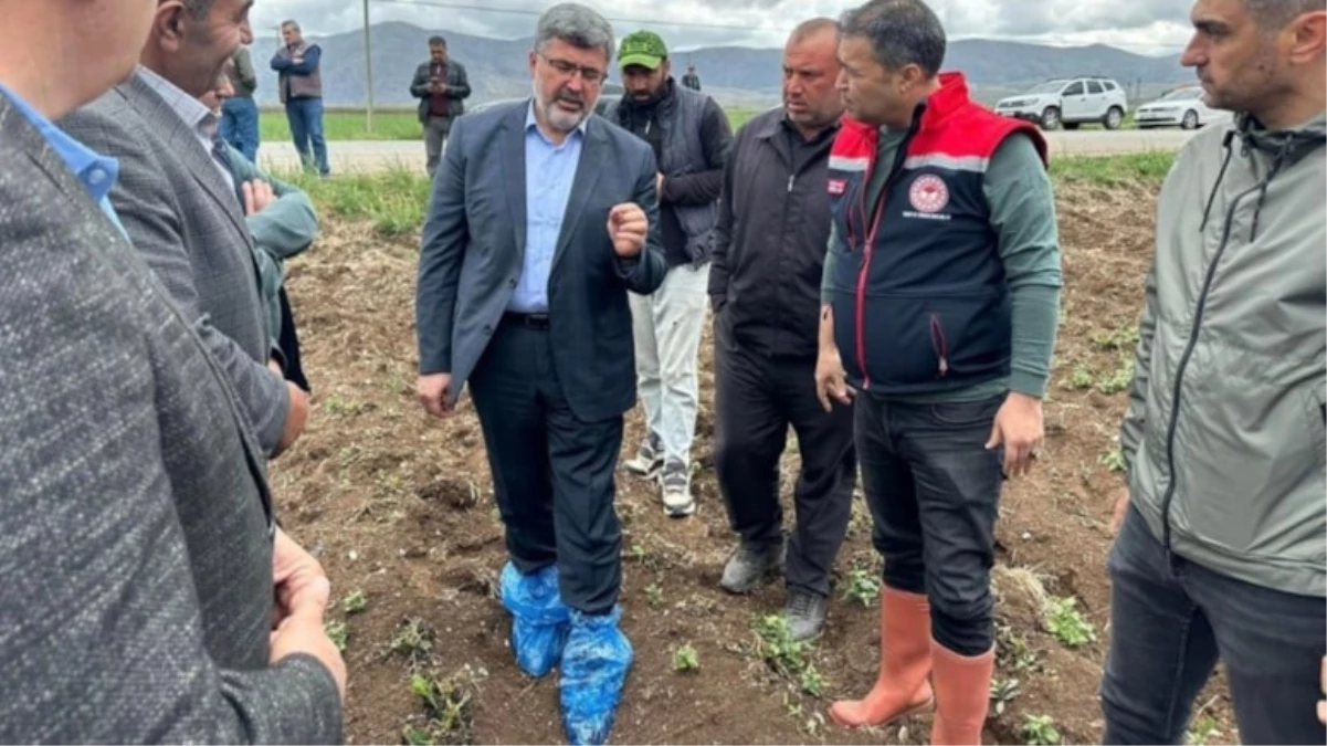 Milletvekili çiftçinin tarlasını ayağında galoşla inceledi