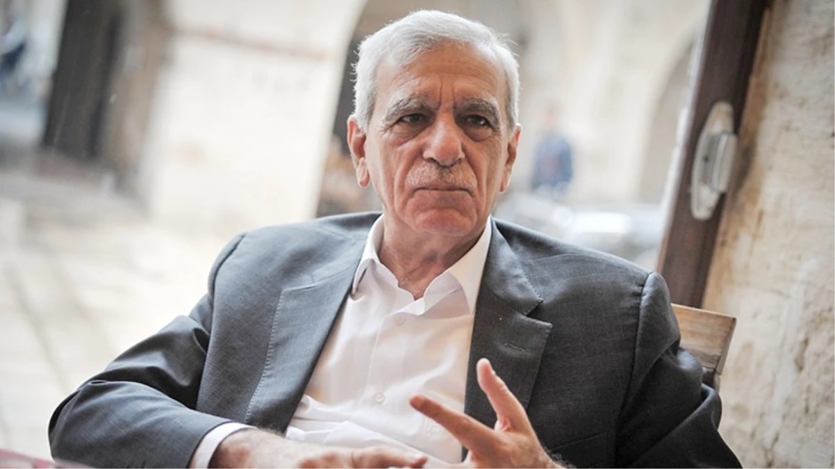 Ahmet Türk: Karar verenler yargıçlar değil siyasiler