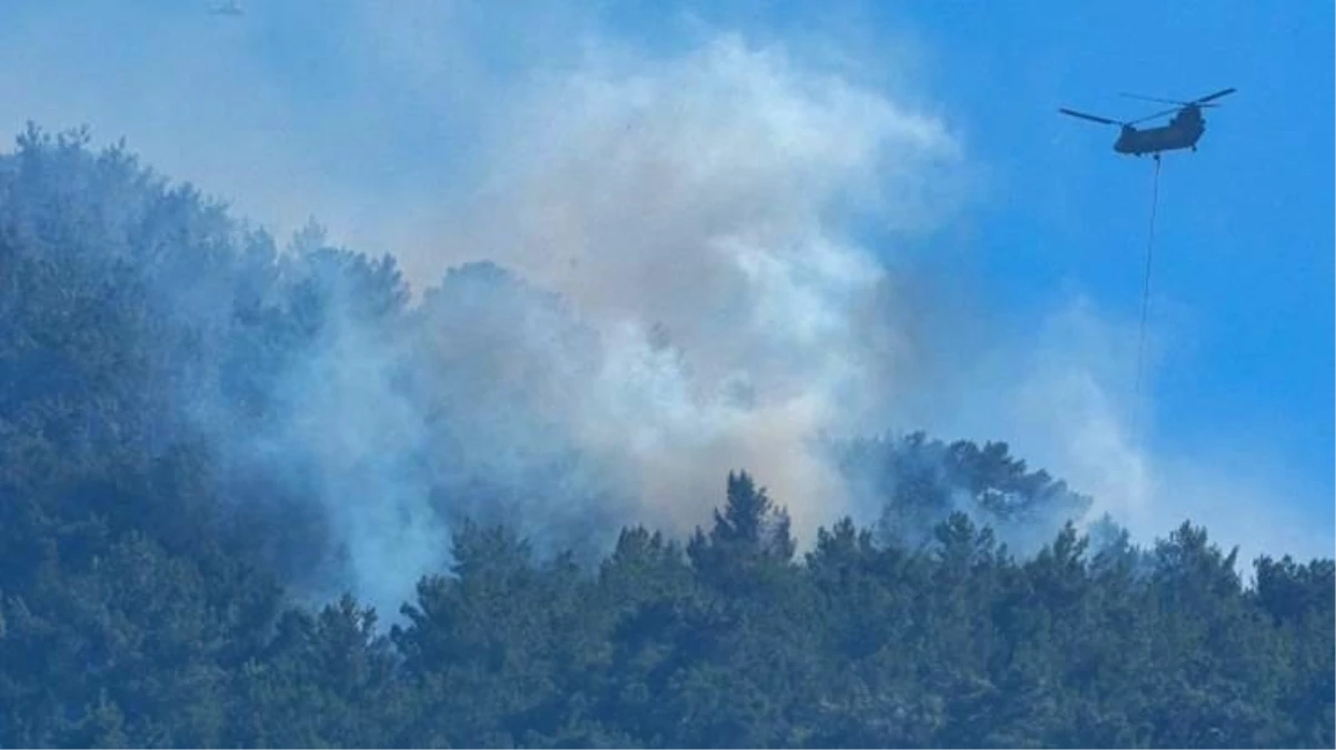İzmir'de çıkan yangınlar kontrol altına alındı