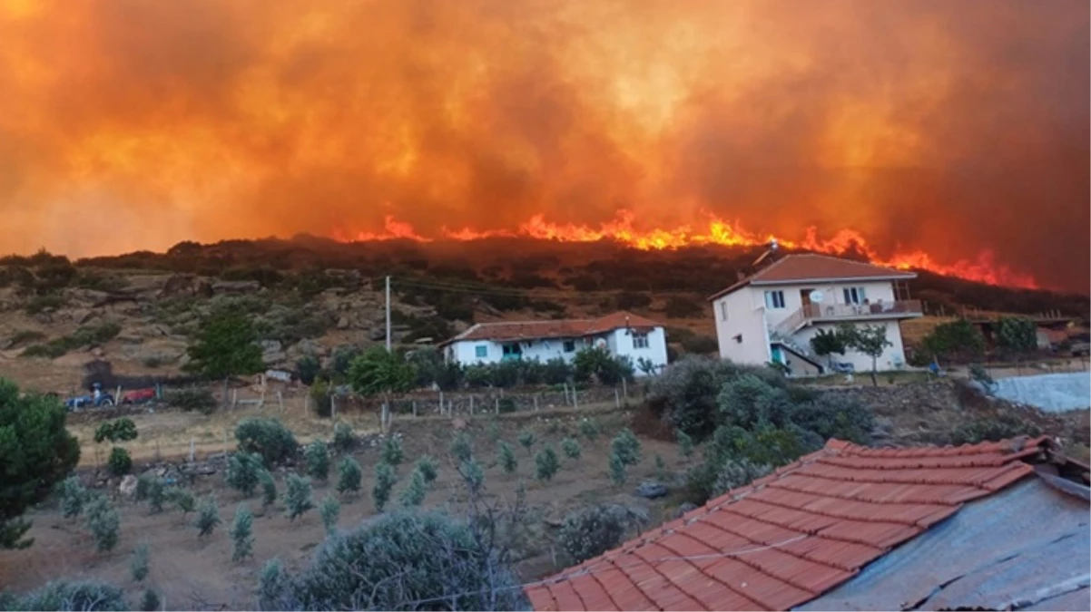 Manisa, Uşak ve Siirt'te orman yangını!