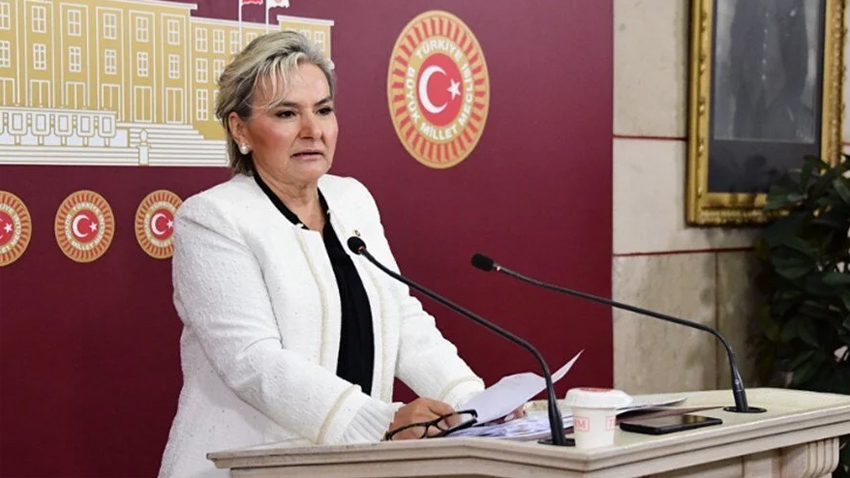 Nimet Özdemir CHP'den istifa etti