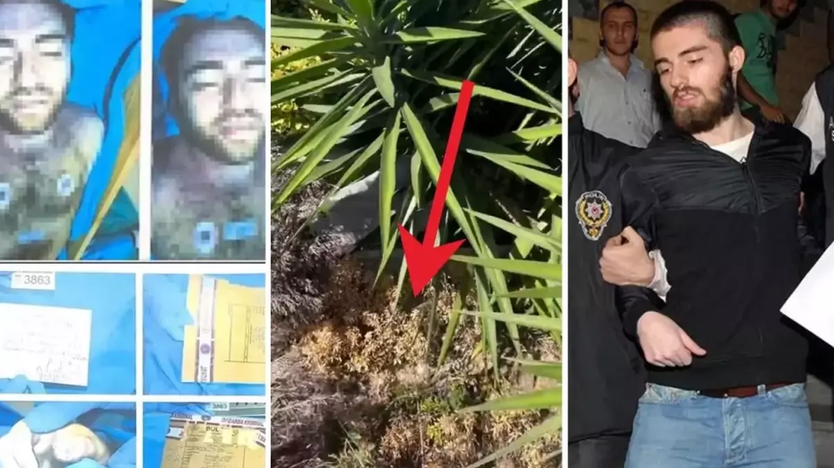 Cem Garipoğlu'nun mezarı ne zaman açılacak?