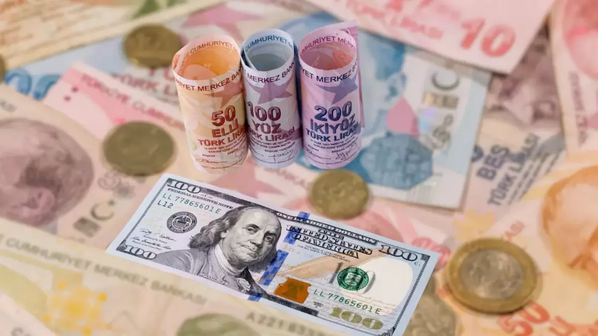 Türkiye'nin dış borcu 512 milyar dolar