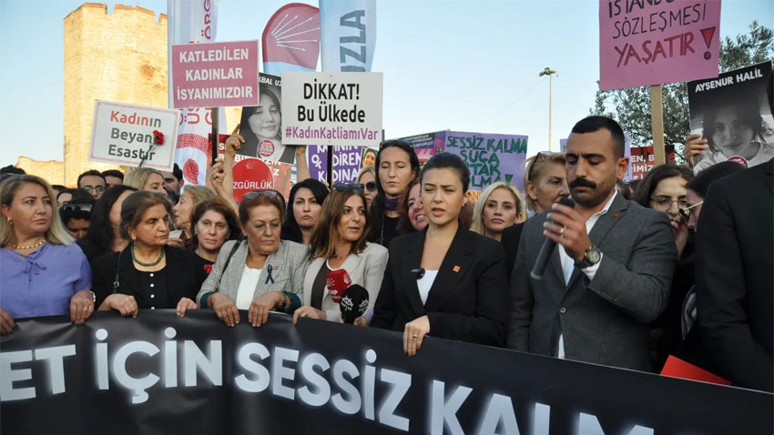 CHP'den Surlar'daki vahşete sert tepki!