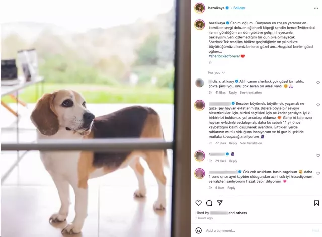 Hazal Kaya'nın köpeği 