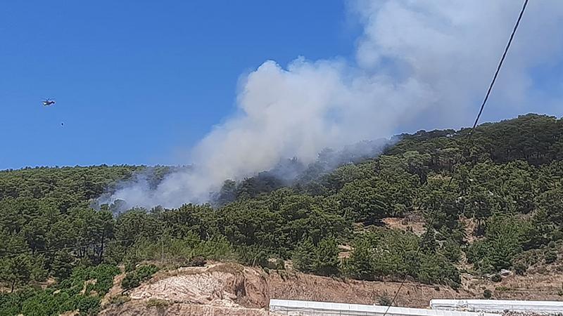 Antalya'da orman yangını