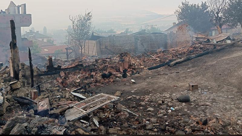 Sakarya'daki orman yangını küle çevirdi