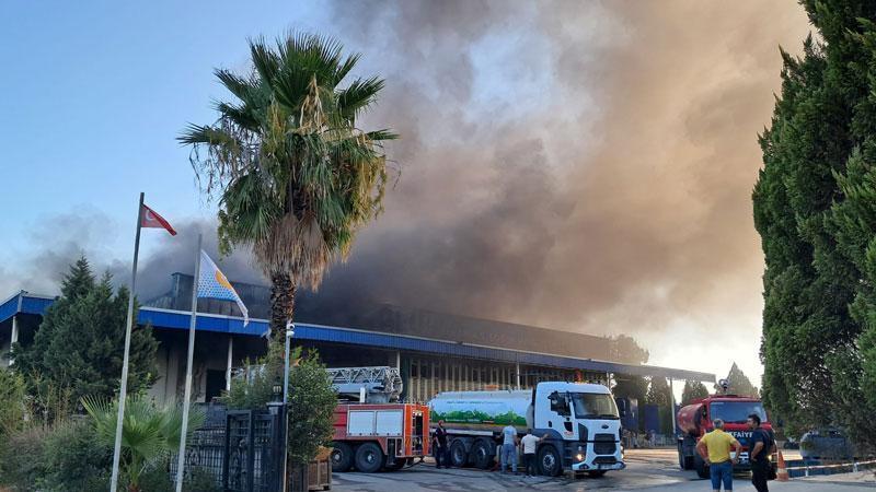 Antalya'da soğuk hava deposunda yangın