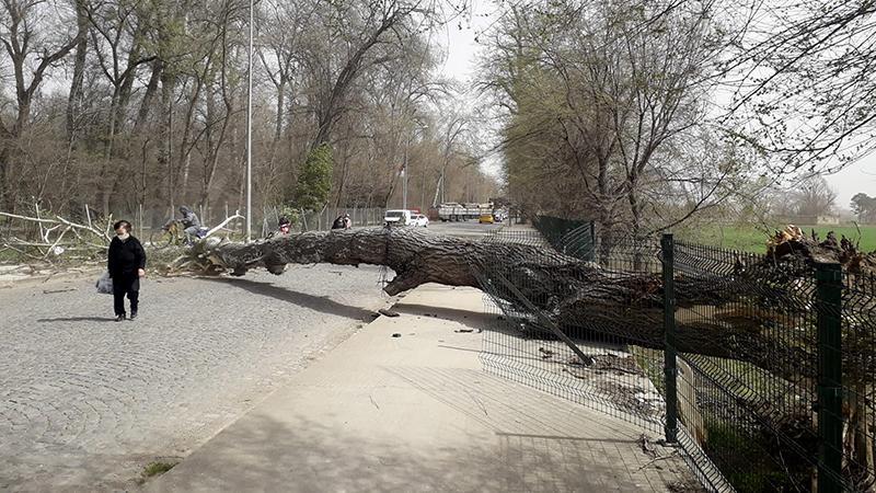 Marmara'nın batısı için 'fırtına' uyarısı