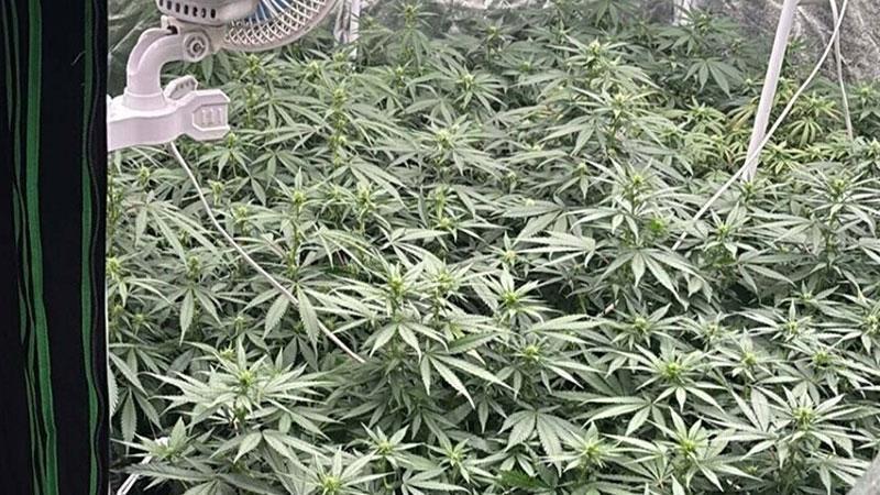 Kuşadası'nda uyuşturucu operasyonu; 3 gözaltı