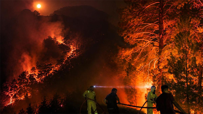 Alanya'da alevler hızla yayılıyor!