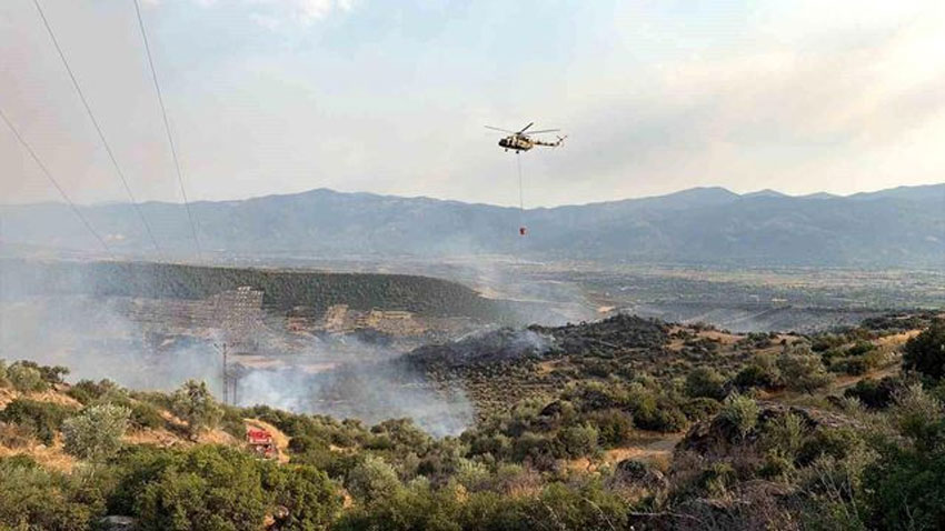 Aydın'da orman yangını evlere sıçradı