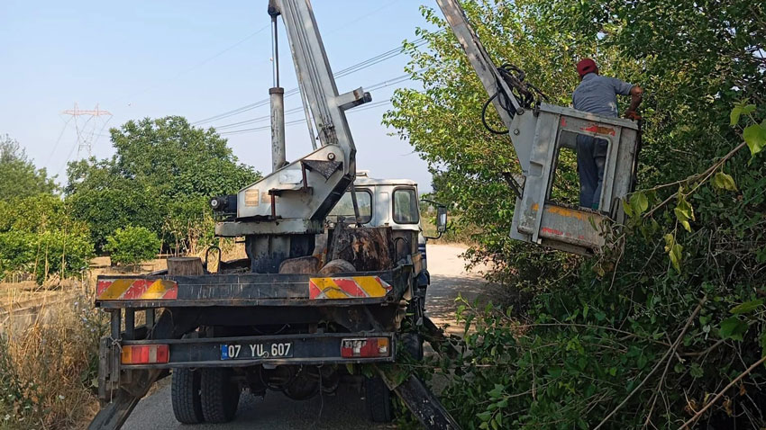 Serik'te budama ve temizlik mesaisi